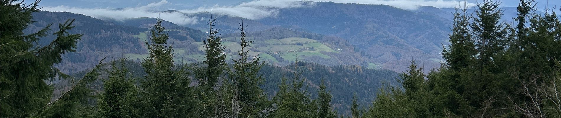 Percorso  Lapoutroie - Le bonhomme col du brezouard - Photo