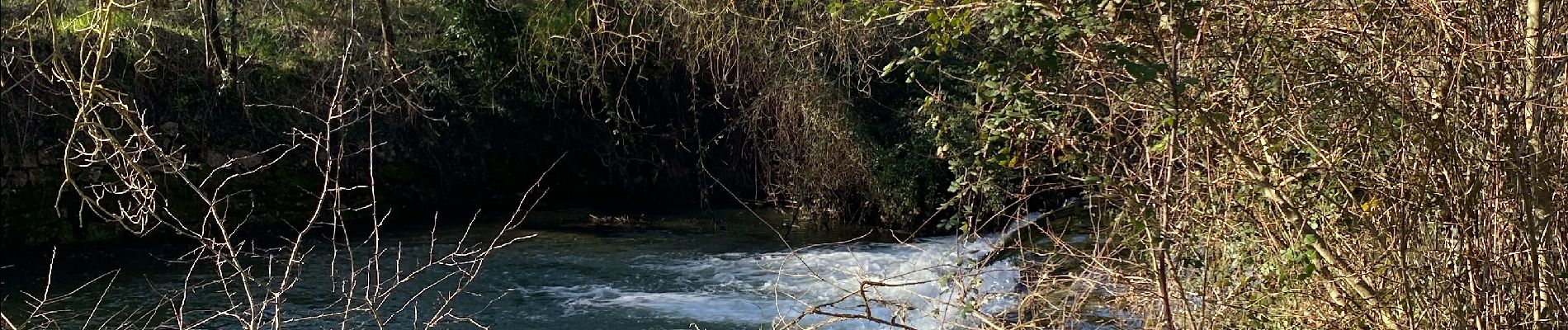 Excursión Senderismo Montpellier - Rando juvignac source de lAvy - Photo