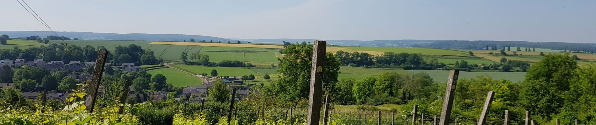 Randonnée Marche Gulpen-Wittem - Wahlwiller  - Photo