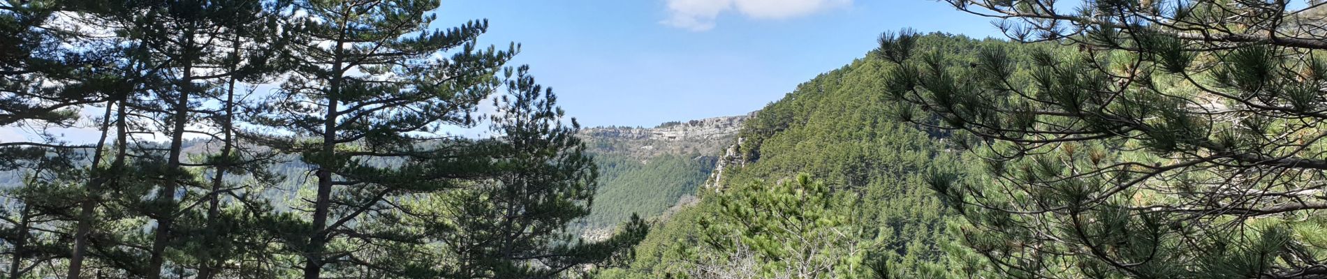 Tocht Stappen Saint-Étienne-de-Gourgas - Cirque du bout du monde - Photo