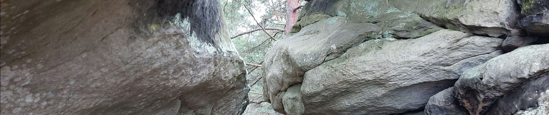 Point of interest Fontainebleau - Unnamed POI - Photo