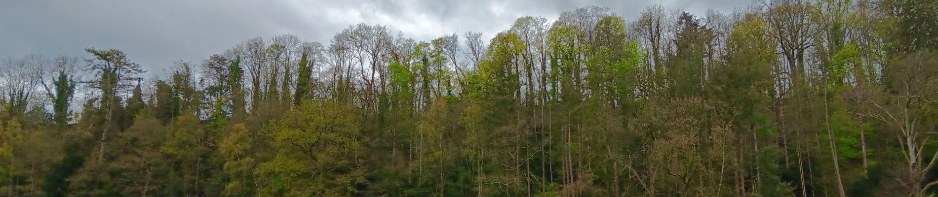 Tocht Stappen Luik - autour du ruisseau de colonster via la grimpette des 3 sapins et retour via le château  - Photo