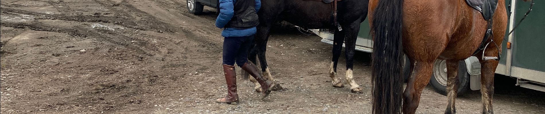 Trail Horseback riding Houyet - wiesme á la Fred - Photo