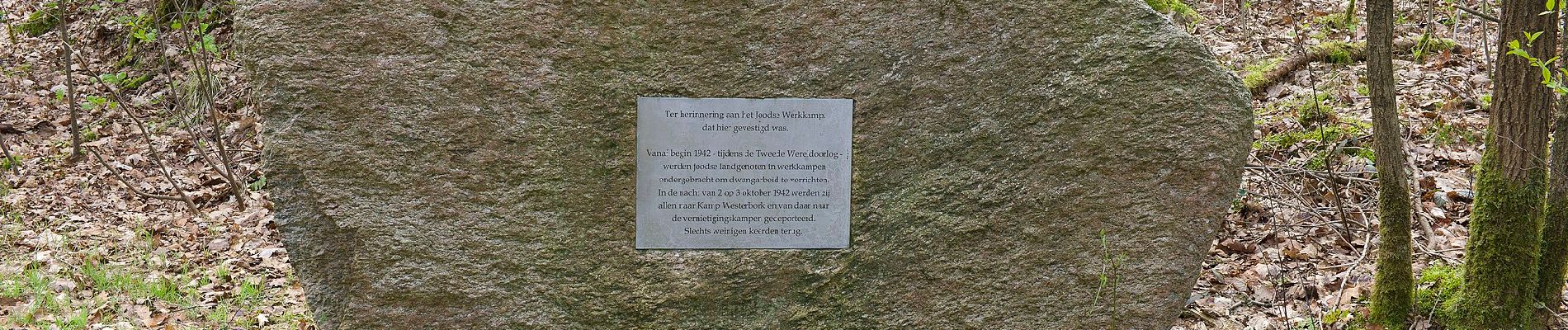 Percorso A piedi De Wolden - Rondwandeling geel - Photo