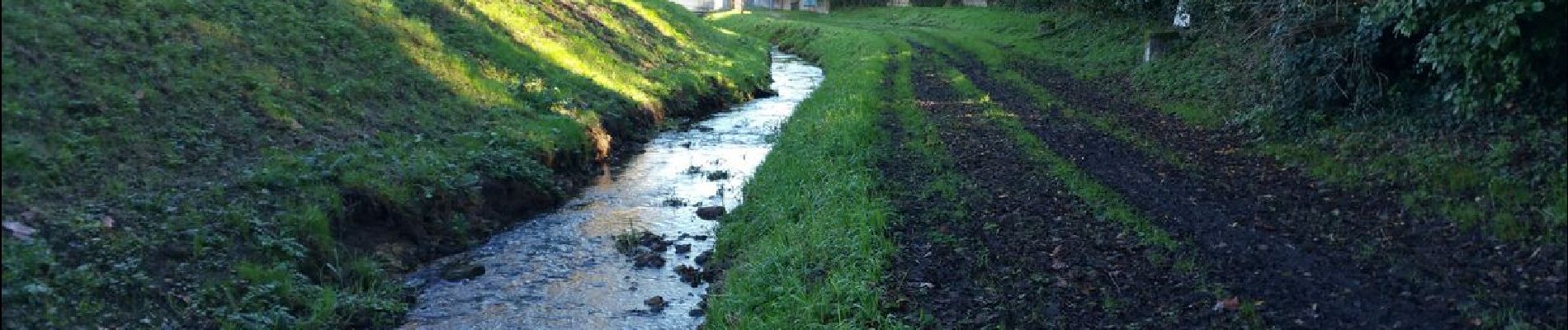 Randonnée A pied Mérignac - RANDO DU BURCK DU MARDI ET JEUDI  C-R - Photo