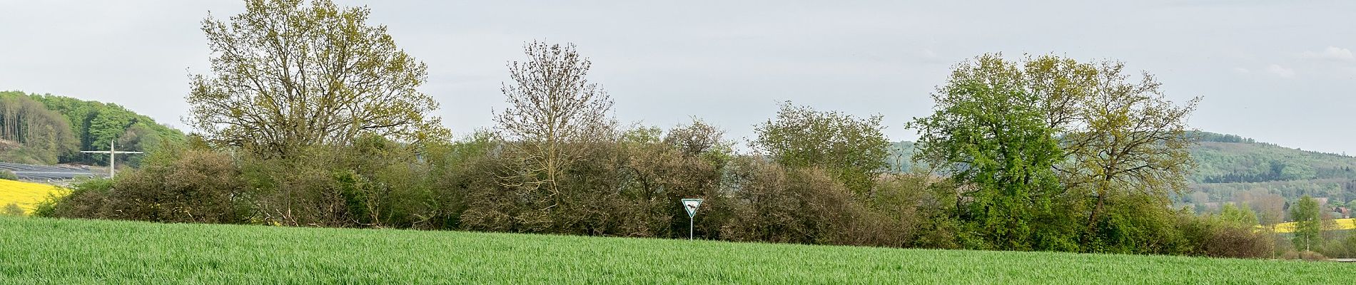 Trail On foot Horn-Bad Meinberg - Zugangsweg Hermannshöhen - Horn-Bad Meinberg - Photo