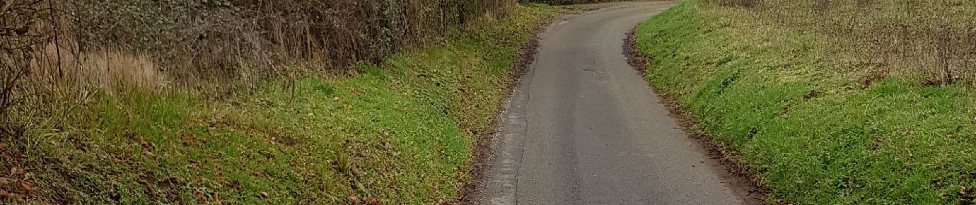 Percorso Marcia Sargé-lès-le-Mans - Autour de Sargé - Photo