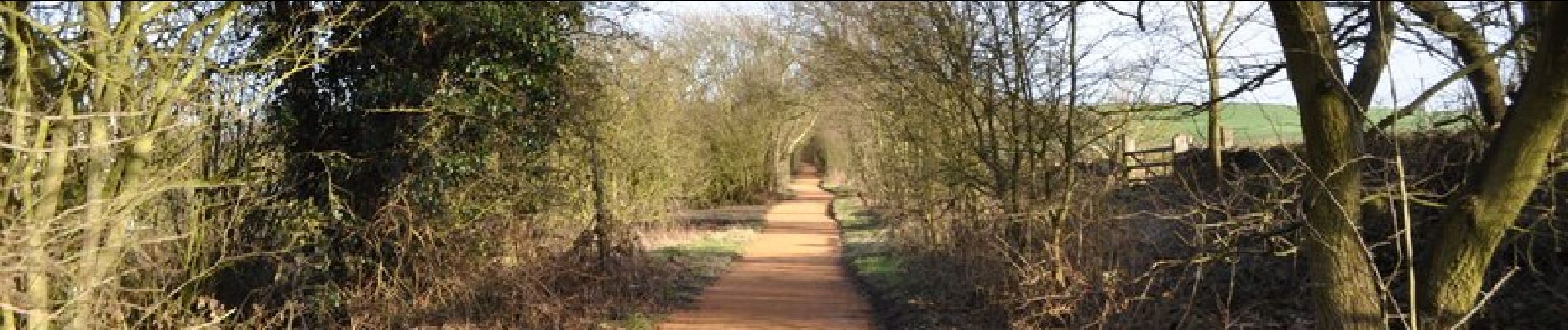 Tour Zu Fuß Bolsover - Archaeological Way (old route) - Photo