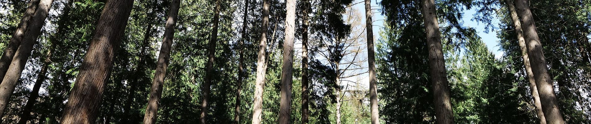 Percorso A piedi Bad Homburg vor der Höhe - Libellenweg - Photo