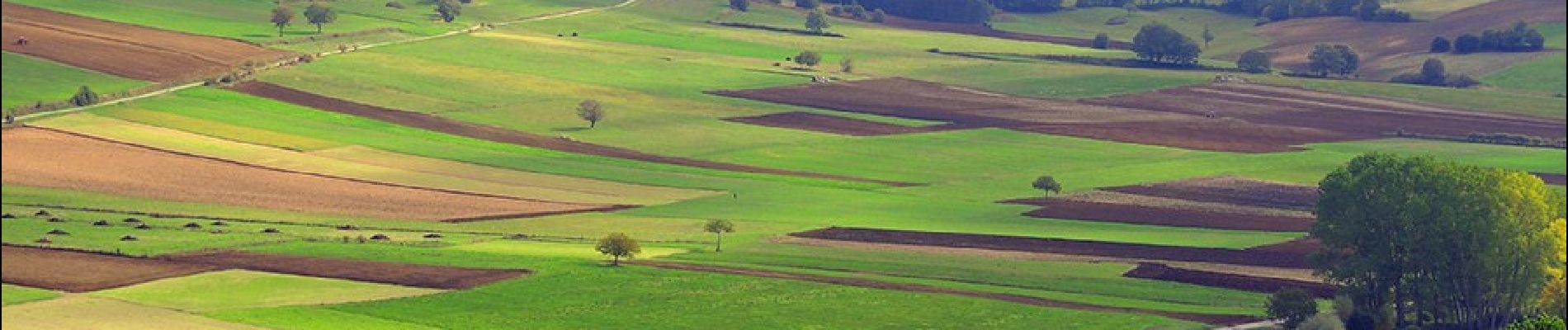 Randonnée A pied Nocera Umbra - IT-302 - Photo