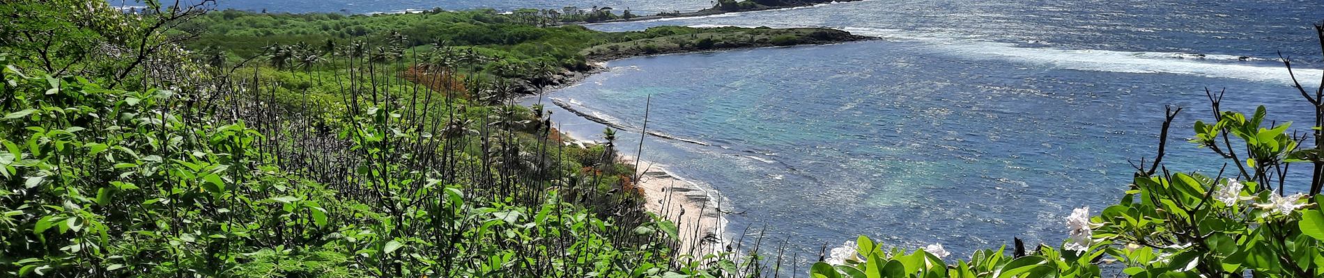 Tour Wandern Sainte-Anne - Quartier ferré vers Cap Chevalier avec modification du parcours en cas de problème à Anse aux bois !  - Photo