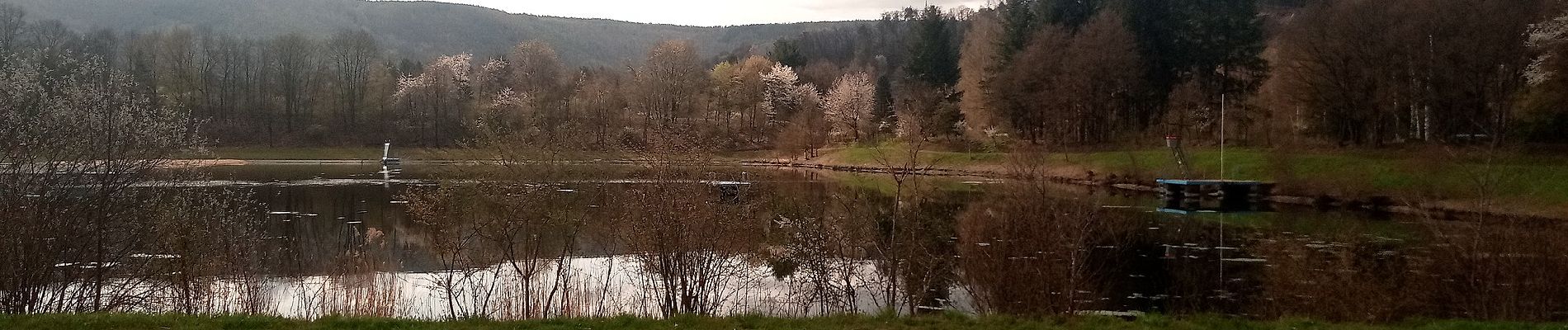 Tour Zu Fuß Freudenberg - Rundwanderweg Freudenberg 5: Freizeitpark-Weg - Photo