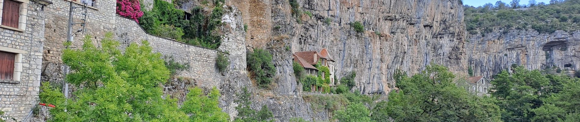 Tocht Mountainbike Lentillac-du-Causse - Ma Aussou - Photo