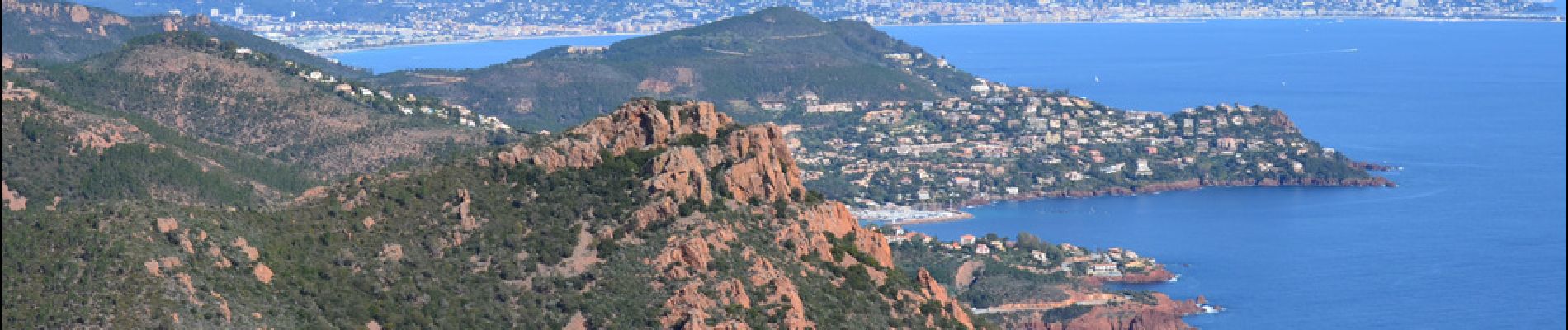 Tocht Stappen Saint-Raphaël - Pk Col de Belle Barbe - Ravin Mal Infernet - Pic du Cap Roux - Grotte Saint Honorat - Ravin des Lentisques - Photo