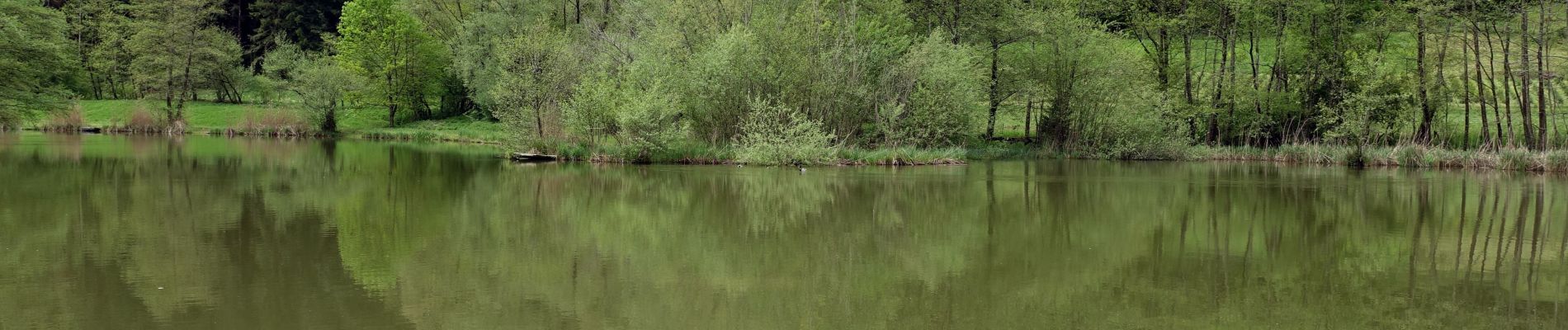 Tour Zu Fuß Saint-Thibaud-de-Couz - Lac de Pisserotte - Photo