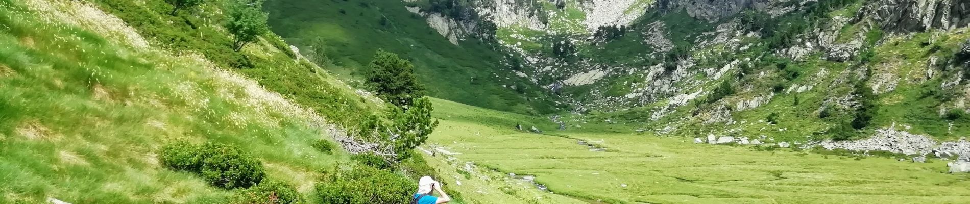 Tour Wandern Fontrabiouse - Esposolla - zone humide des Bassettes - Photo