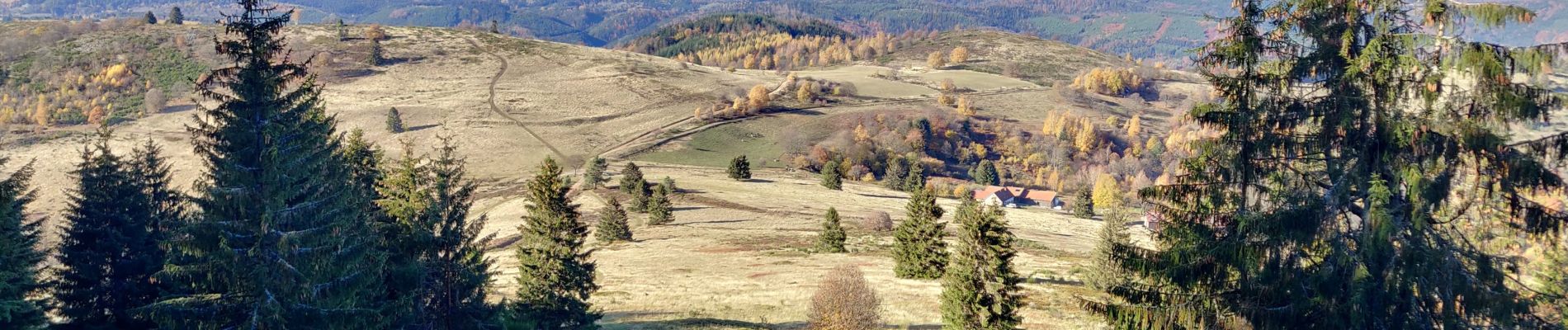 Randonnée Marche Belmont - 2018-11-11 Marche Serva Perheux Cascade - Photo