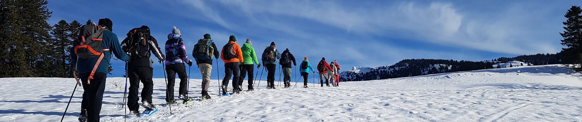 Excursión Senderismo Prémanon - B Jura - mardi matin 21-01-2020 - les Dappes - Photo