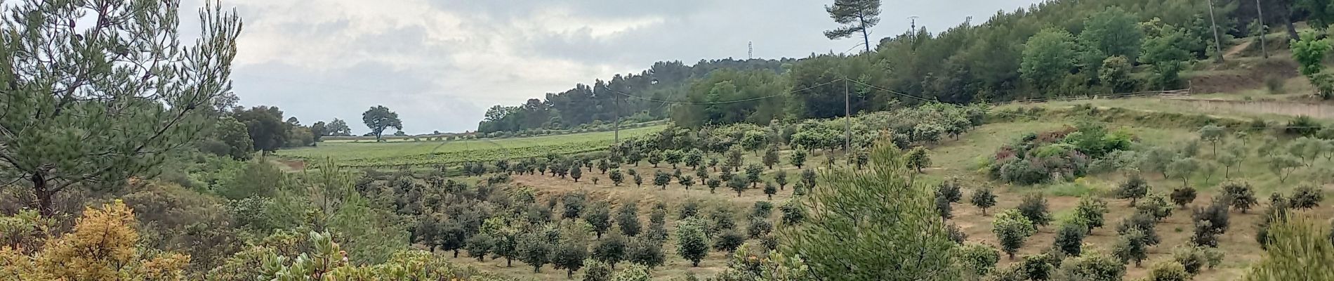 Randonnée Marche Aix-en-Provence - Montaiguet Les Bregues d'Or - Photo