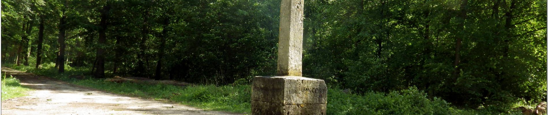 Randonnée A pied Pont-Sainte-Maxence - 1ere Balade 11 mai 2020 - Photo