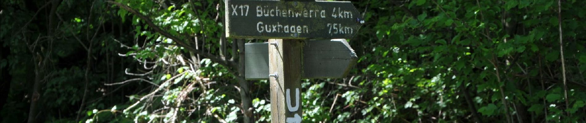 Percorso A piedi Körle - Körler Steig - Photo