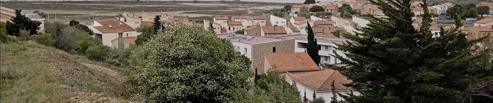 Randonnée Marche Gruissan - Pech des moulins Gruissan - Photo