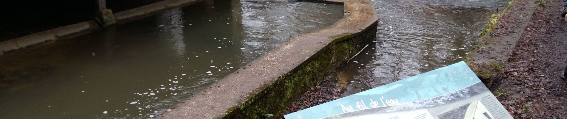 Point d'intérêt Dampierre-en-Yvelines - Lavoir - Photo