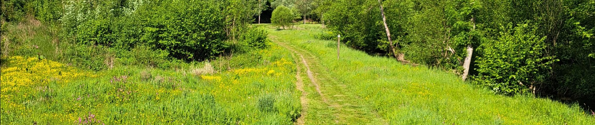 Tour Reiten Walcourt - les 7 ponts - Photo