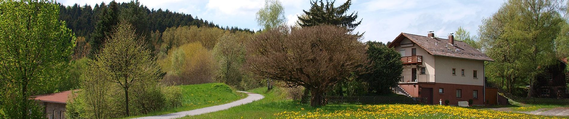 Tour Zu Fuß Miltach - A3 Altransberg Riedern Hammersdorf - Photo