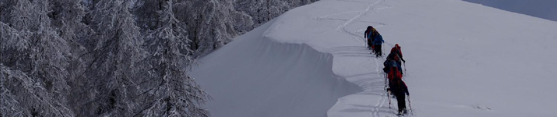 Randonnée Raquettes à neige La Bollène-Vésubie - Col de Turini a la pointe des 3 communes - Photo