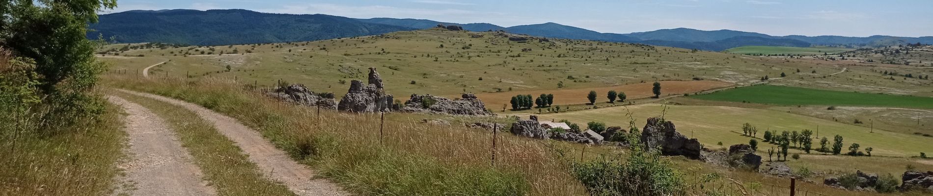 Excursión Senderismo Fraissinet-de-Fourques - 48  sommet du Gargo 13/07/24 - Photo