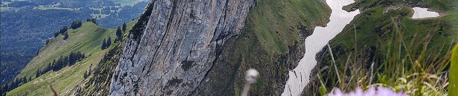 Tour Zu Fuß Sennwald - Staubern - Saxerlücke - Photo