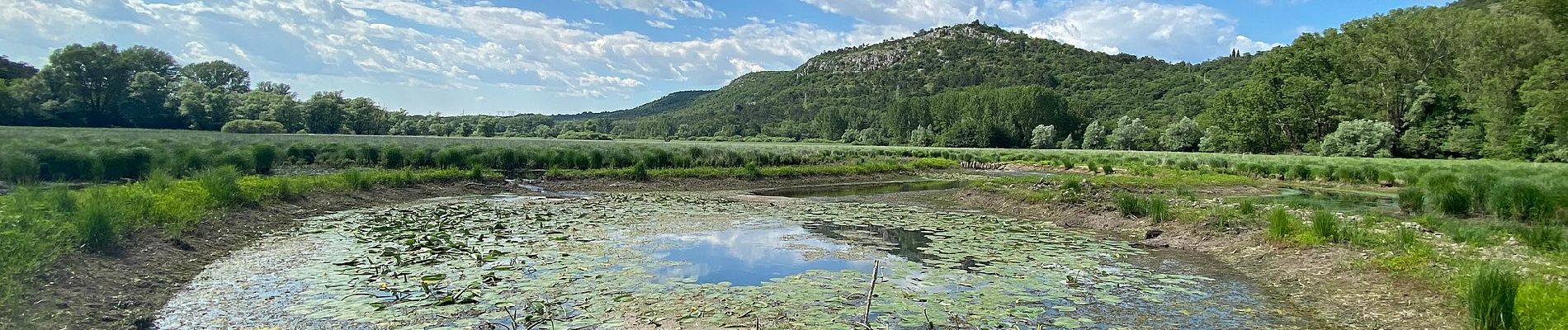 Percorso A piedi Doberdò del Lago - Sentiero CAI n. 72 - Photo