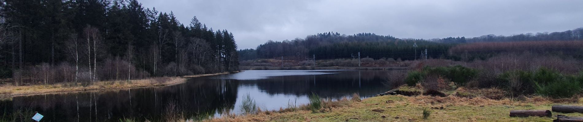 Tour Wandern Florenville - rando les epioux 3-02-2022 - Photo