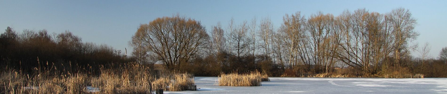 Percorso A piedi Ražice - NS Řežabinec - Photo