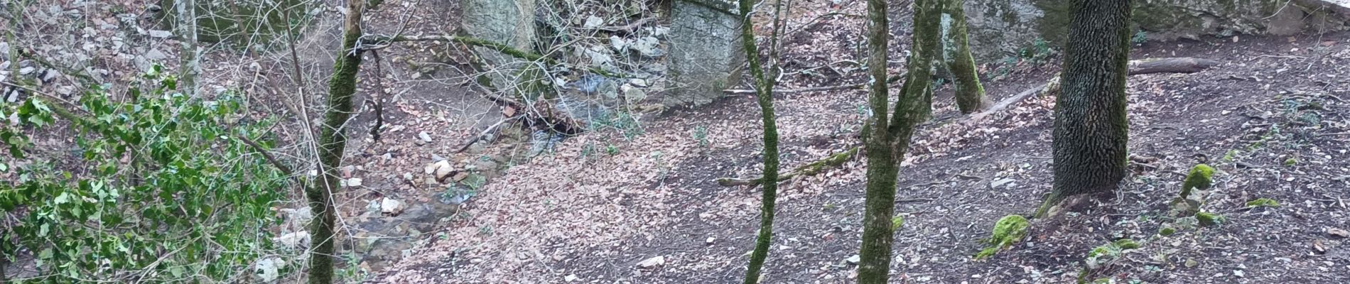 Tocht Stappen Belgentier - les Puy Belgentier 14-02-24 - Photo