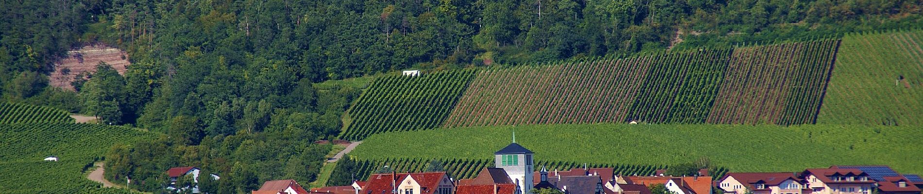 Randonnée A pied Vaihingen an der Enz - Roter Punkt, Häfnerhaslach - Langmantel - Photo