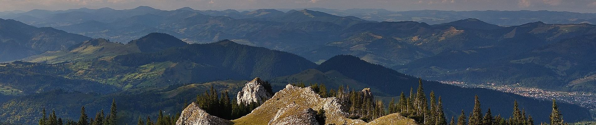 Excursión A pie Câmpulung Moldovenesc - DN17 (la est de Câmpulung Moldovenesc) – Hotel Rarău (red cross) - Photo