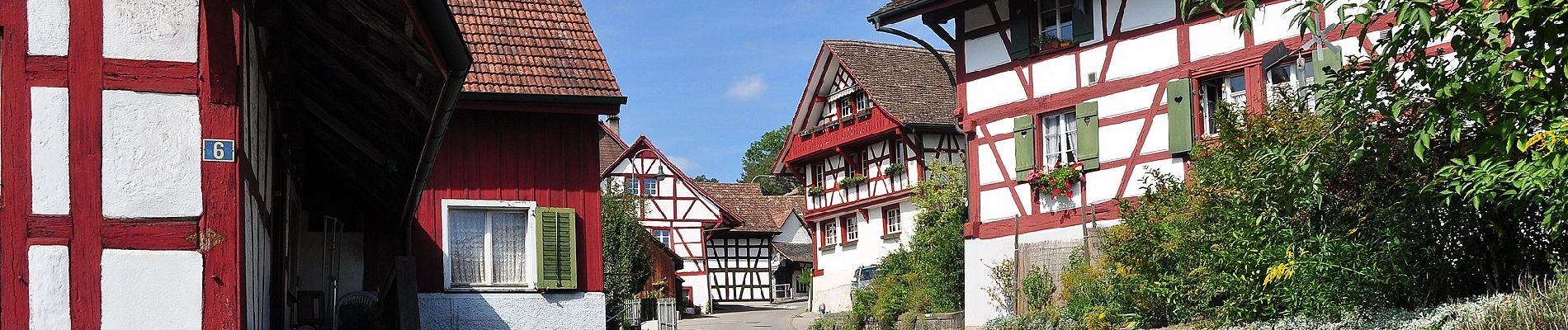 Tour Zu Fuß Höri - Höriberg - Glattfelden - Photo
