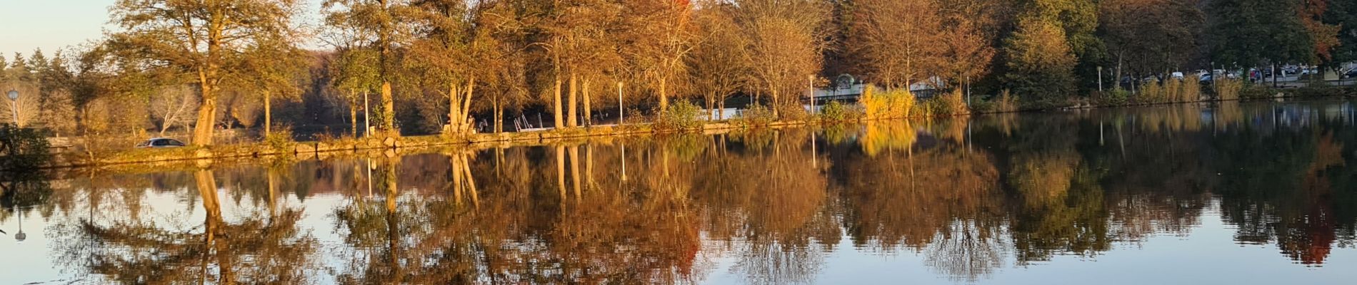 Randonnée Marche Contrexéville - Contrexeville - Les lacs de la Folie, de saulxures et des récollets - Photo