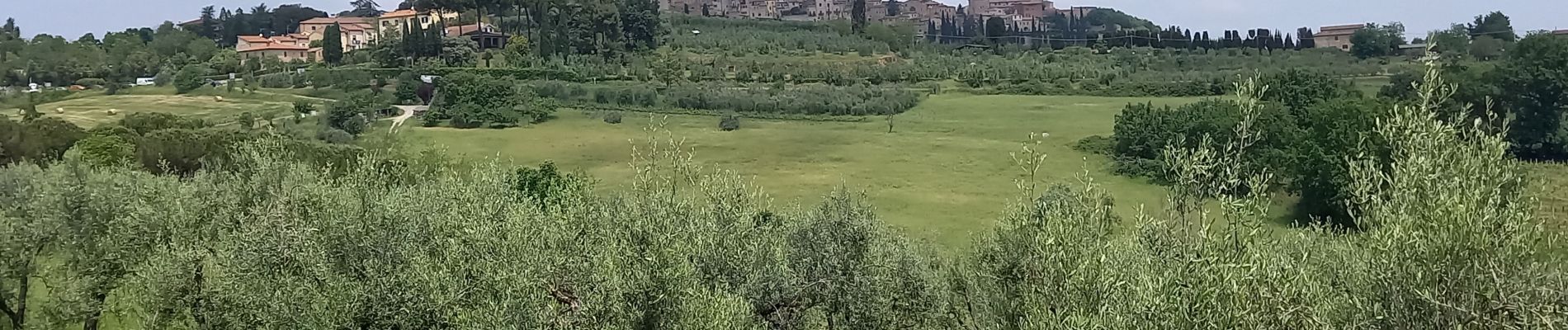 Trail Walking San Gimignano - Pancolle / Colle val.d'Elsa - Photo