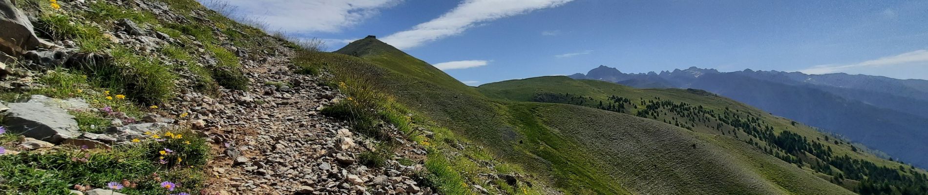 Trail Walking Saint-Dalmas-le-Selvage - Crête de la Blanche - Photo