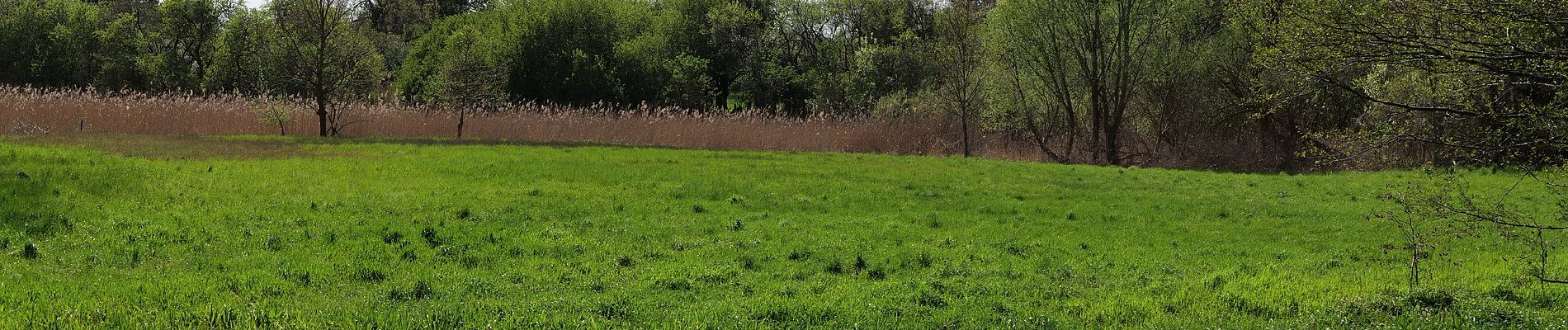 Randonnée A pied Am Mellensee - Mellenseer Heideweg - Photo