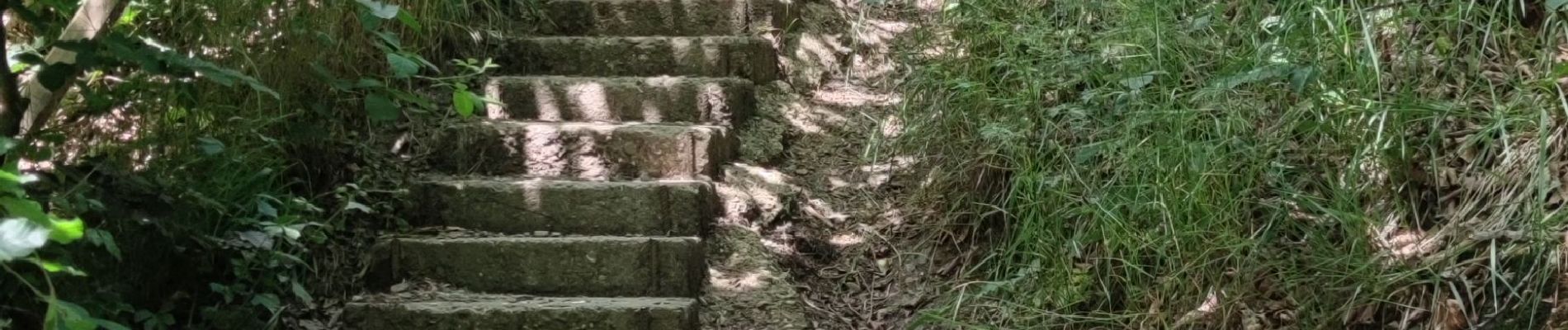 Randonnée Marche Plombières - Site minier de Plombières 🌿 - Photo