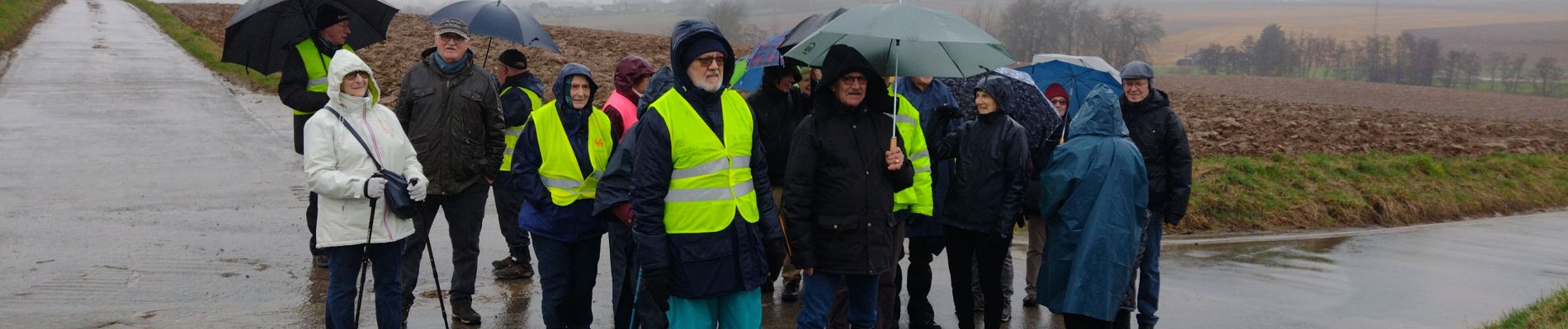 Excursión Senderismo Tubize - Promenade Piedescaus à Tubize - Photo