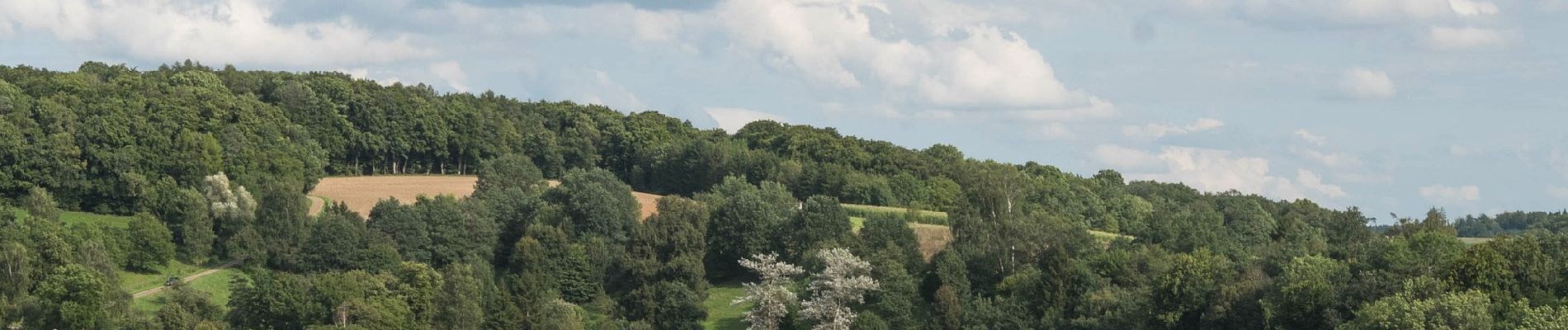 Tocht Te voet Hainsfarth - Hainsfarth Geologischer Pfad - Photo