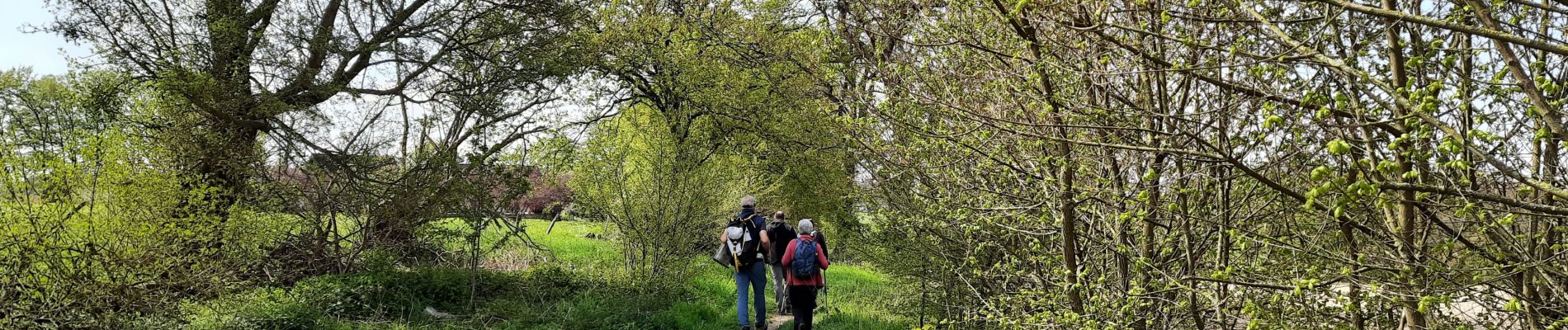 Randonnée Marche Huy - Les bois de Ben-Ahin - Photo