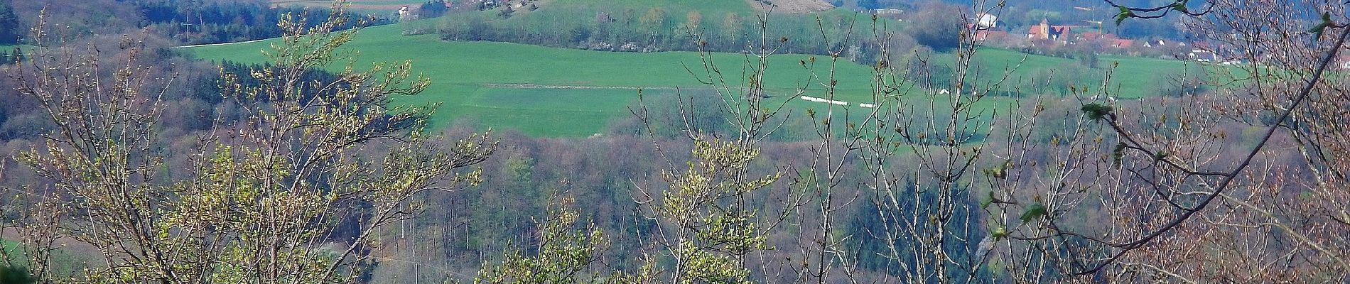 Excursión A pie Schwäbisch Gmünd - Glaubensweg 8 - Photo