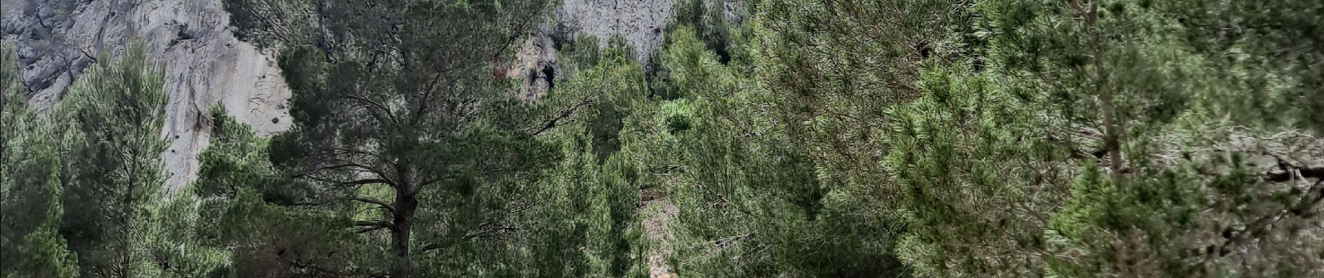 Percorso Marcia Calp - Sierra de Olta - Photo