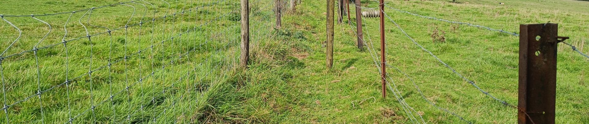 Tour Wandern Ciney - Ciney Marche à pied - Photo